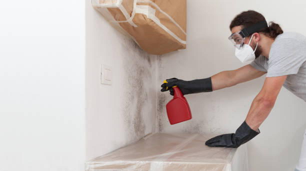 Professional Mold Inspection And Testing technician working in Everett, MA