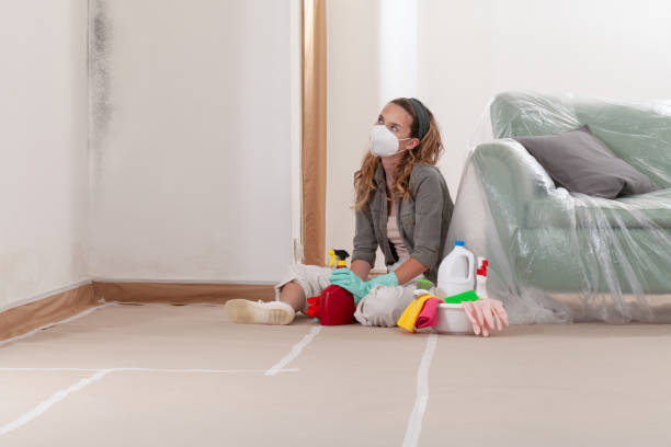 Reliable Mold Inspection And Testing contractor in Everett, MA by Mold Remediation HQ